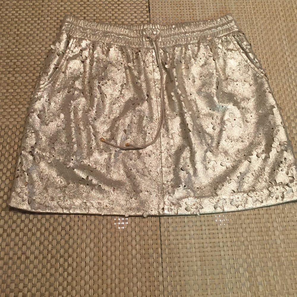 Anthropologie Silver Mini Skirt